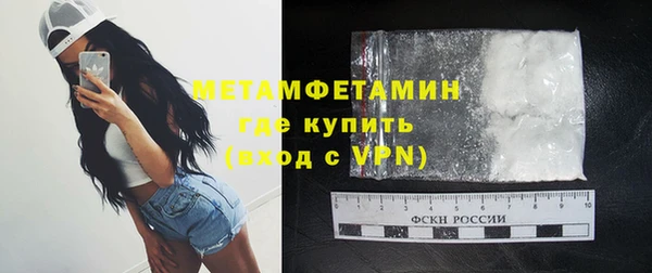 дмт Богданович