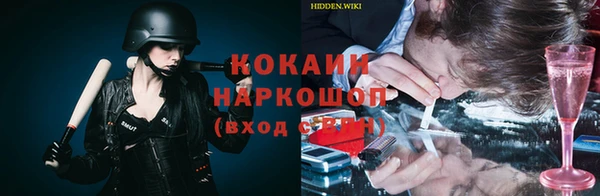 дмт Богданович