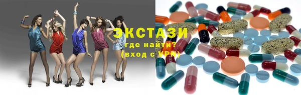 дмт Богданович