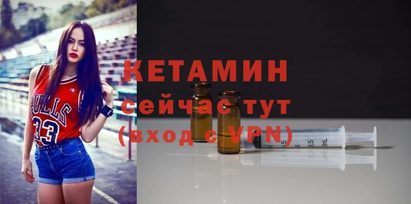 дмт Богданович