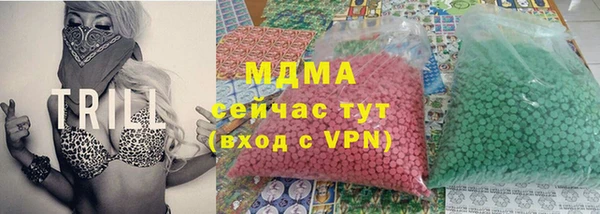 дмт Богданович