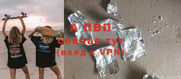 дмт Богданович