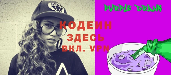 дмт Богданович