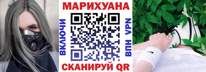 Шишки марихуана план  Купить  Прохладный 